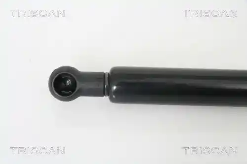 TRISCAN 8710 29268