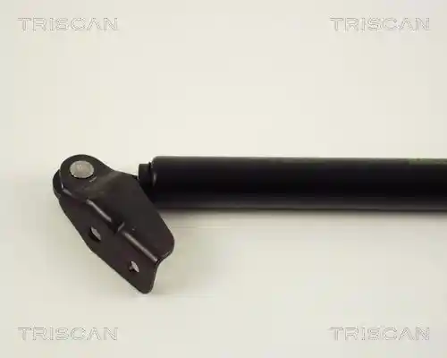 TRISCAN 8710 50225