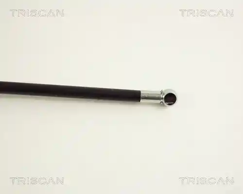 TRISCAN 8710 50225