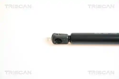 TRISCAN 8710 50234