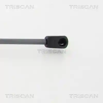 TRISCAN 8710 50255