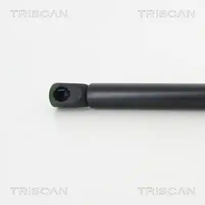 TRISCAN 8710 50255
