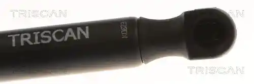 TRISCAN 8710 50267