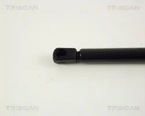 TRISCAN 8710 67204