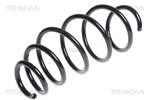 TRISCAN 8750 24161 TRISCAN 8750 24161