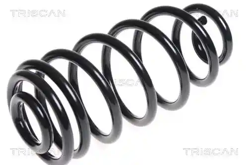 TRISCAN 8750 24167 TRISCAN 8750 24167