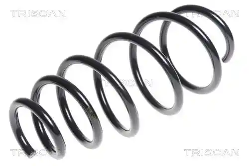TRISCAN 8750 24169 TRISCAN 8750 24169
