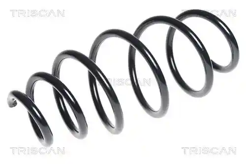 TRISCAN 8750 24173 TRISCAN 8750 24173