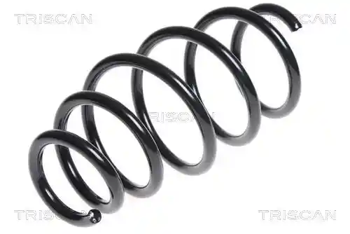 TRISCAN 8750 24174 TRISCAN 8750 24174
