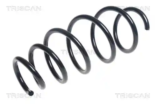 TRISCAN 8750 24195 TRISCAN 8750 24195