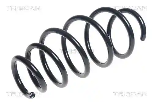 TRISCAN 8750 24196 TRISCAN 8750 24196