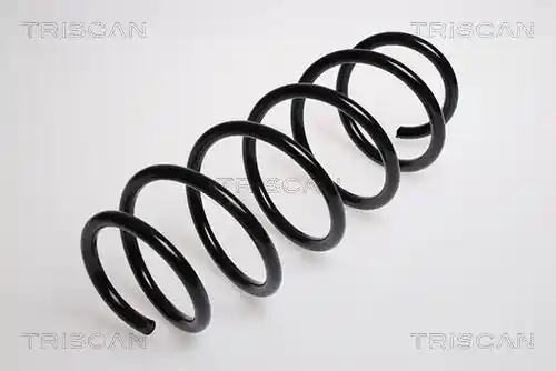 TRISCAN 8750 29123 TRISCAN 8750 29123
