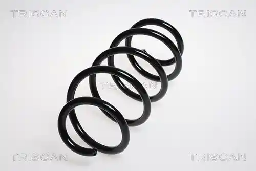 TRISCAN 8750 29177 TRISCAN 8750 29177