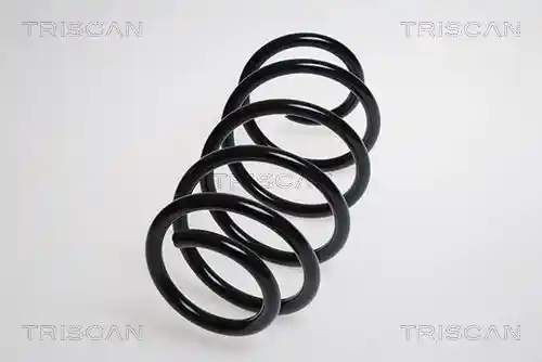 TRISCAN 8750 29211 TRISCAN 8750 29211