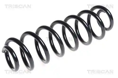 TRISCAN 8750 29304 TRISCAN 8750 29304