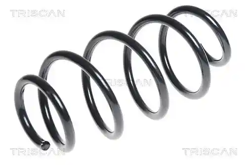 TRISCAN 8750 29309 TRISCAN 8750 29309