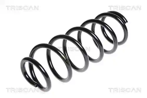 TRISCAN 8750 5063 TRISCAN 8750 5063