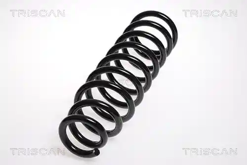 TRISCAN 8750 5065 TRISCAN 8750 5065