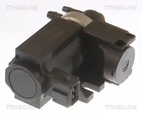 TRISCAN 8813 10038