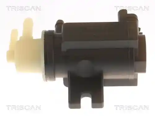 TRISCAN 8813 10041