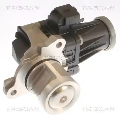 TRISCAN 8813 10053