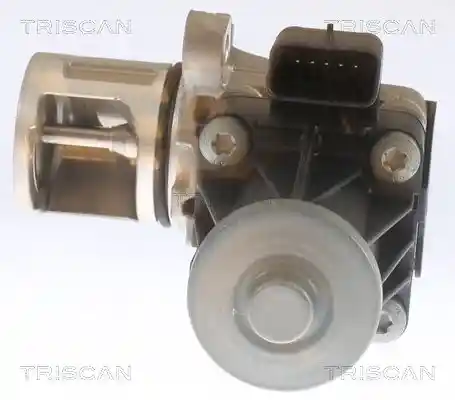 TRISCAN 8813 10053