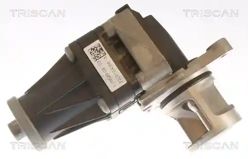 TRISCAN 8813 10053