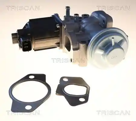 TRISCAN 8813 10057