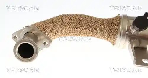 TRISCAN 8813 10059