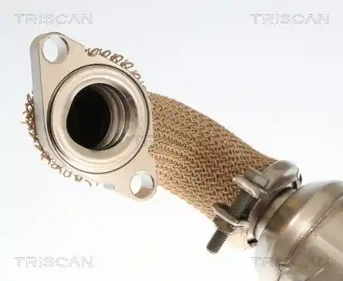 TRISCAN 8813 10059