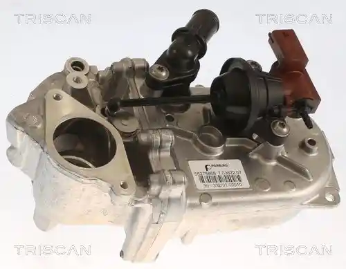 TRISCAN 8813 10107 TRISCAN 8813 10107