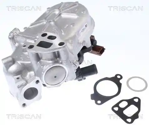 TRISCAN 8813 10107 TRISCAN 8813 10107