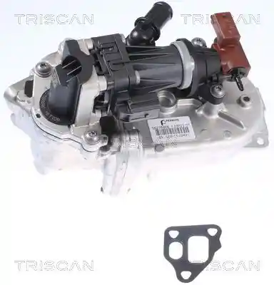 TRISCAN 8813 10108