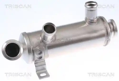 TRISCAN 8813 10111