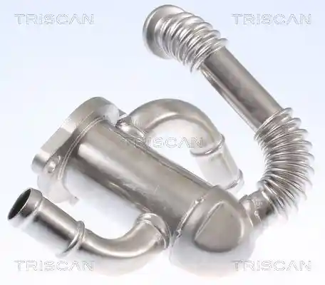 TRISCAN 8813 10114