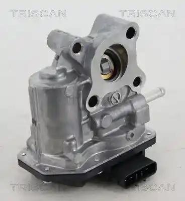TRISCAN 8813 13200