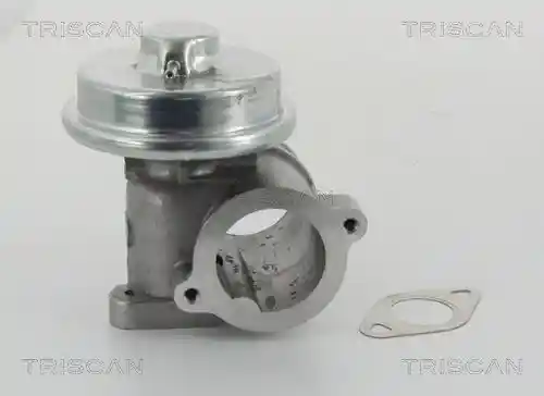 TRISCAN 8813 16010