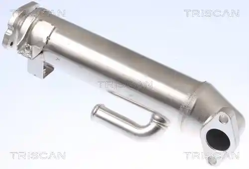 TRISCAN 8813 16107