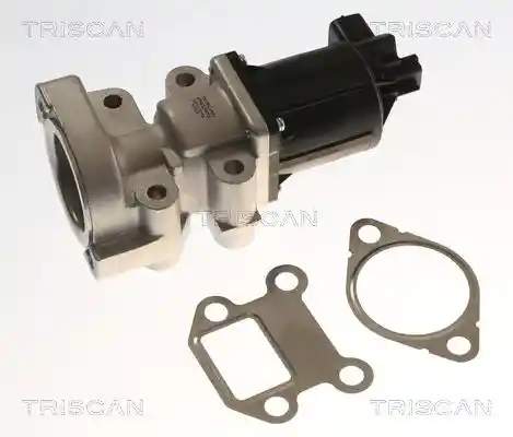 TRISCAN 8813 24018