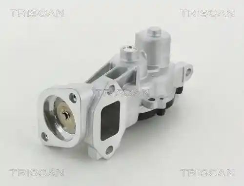 TRISCAN 8813 24040