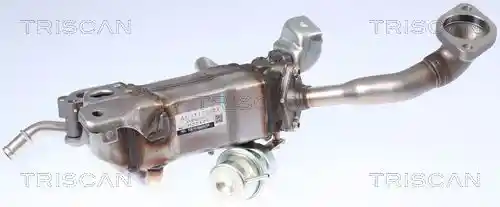 TRISCAN 8813 24105