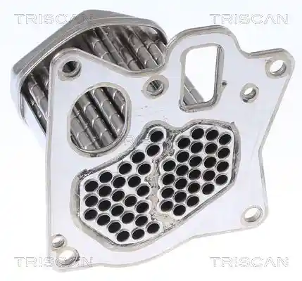TRISCAN 8813 24107