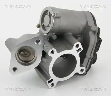TRISCAN 8813 25010