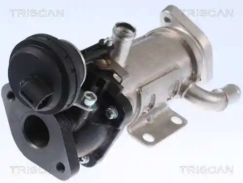 TRISCAN 8813 25101