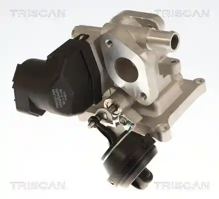 TRISCAN 8813 27106