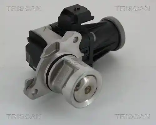 TRISCAN 8813 28005
