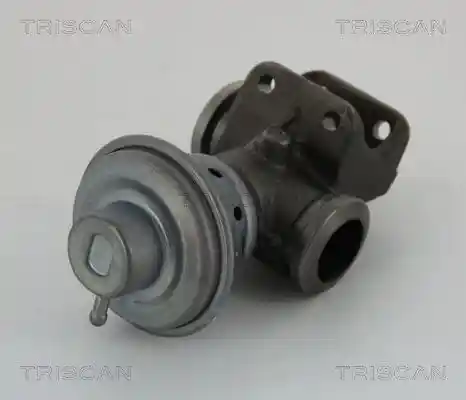 TRISCAN 8813 28013