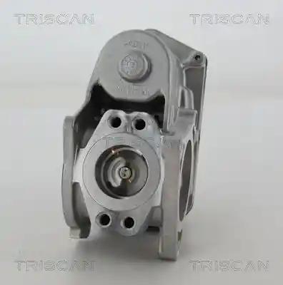 TRISCAN 8813 29003