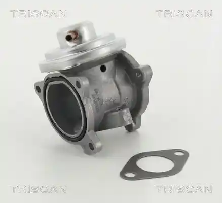 TRISCAN 8813 29011 TRISCAN 8813 29011