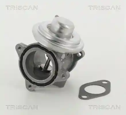 TRISCAN 8813 29011 TRISCAN 8813 29011